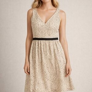 Maurices Cream and Black Lace Midi Dress